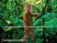 Pieter in de jungle